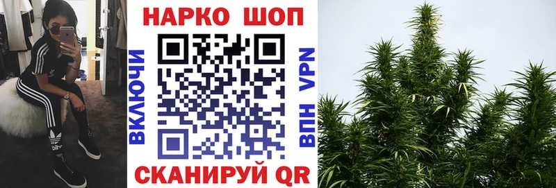 Как найти закладки Александровское Канабис  ЭКСТАЗИ  Гашиш  Мефедрон  Кокаин 