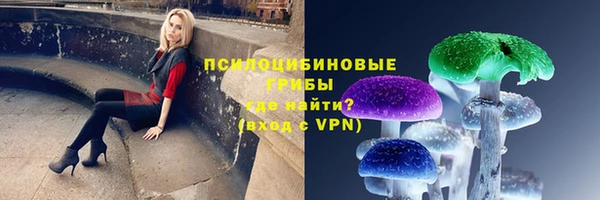 твердый Алексеевка