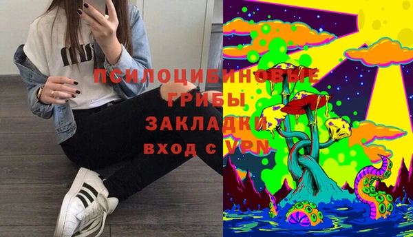 соль курить ск Алзамай