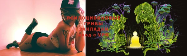 твердый Алексеевка