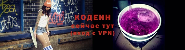 индика Нягань
