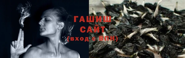 PSILOCYBIN Няндома