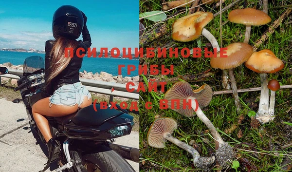 твердый Алексеевка